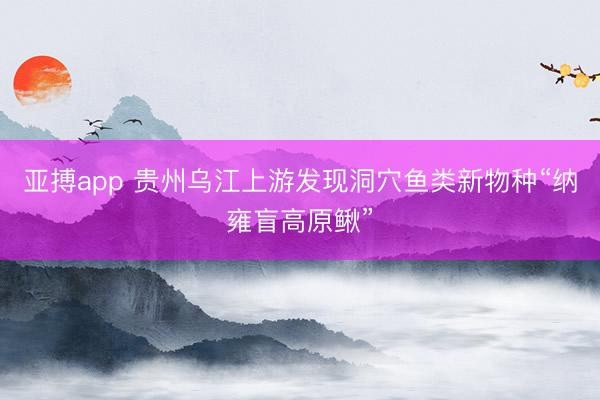 亚搏app 贵州乌江上游发现洞穴鱼类新物种“纳雍盲高原鳅”