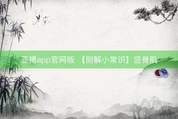 亚搏app官网版 【剖解小常识】竖脊肌