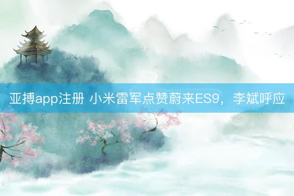 亚搏app注册 小米雷军点赞蔚来ES9，李斌呼应